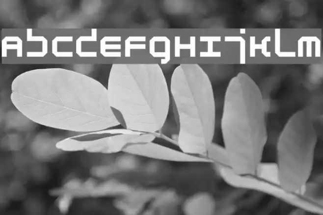 Atmosphere Bold Font examples