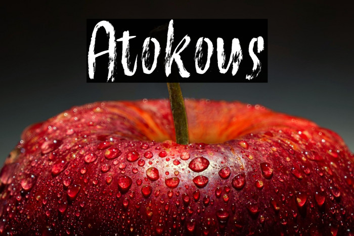 Atokous Example 3