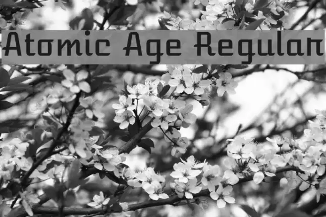 Atomic Age Regular Font examples