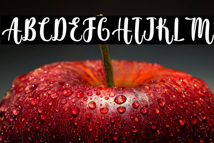 Atomic Robusta - Personal Use Example 2