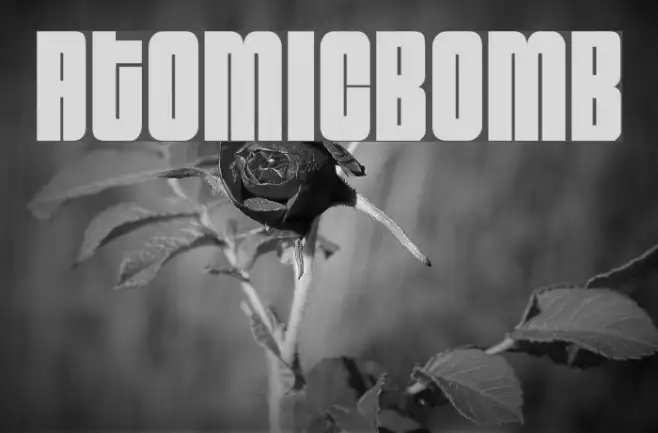 AtomicBomb Example 1