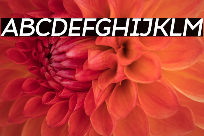 Atozimple Bold Italic Example 2