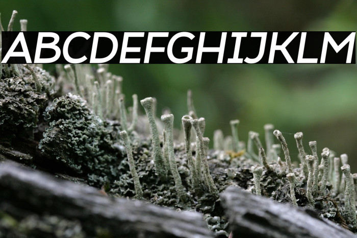 Atozimple Bold Italic Example 3