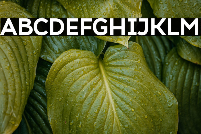 Atozimple ExtraBold Example 1