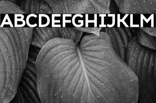 Atozimple ExtraBold Font examples