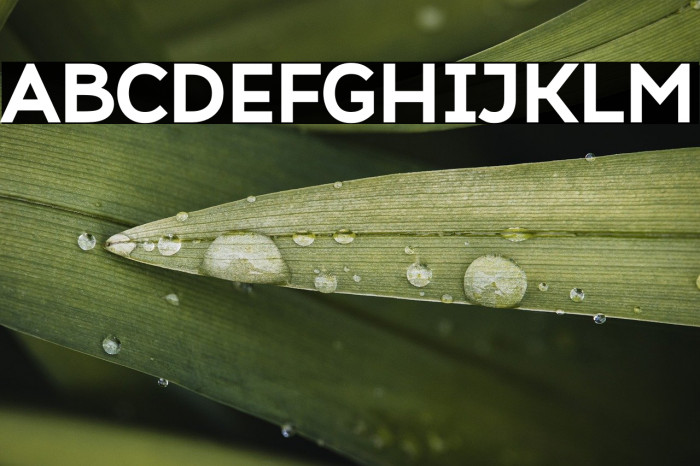 Atozimple ExtraBold Example 2