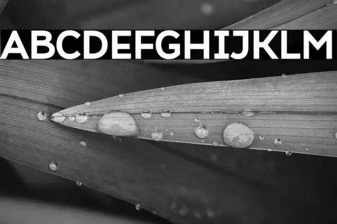 Atozimple ExtraBold Font examples