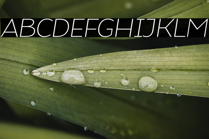 Atozimple ExtraLight Italic Example 1