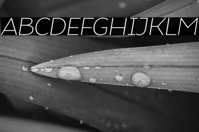 Atozimple ExtraLight Italic Font examples