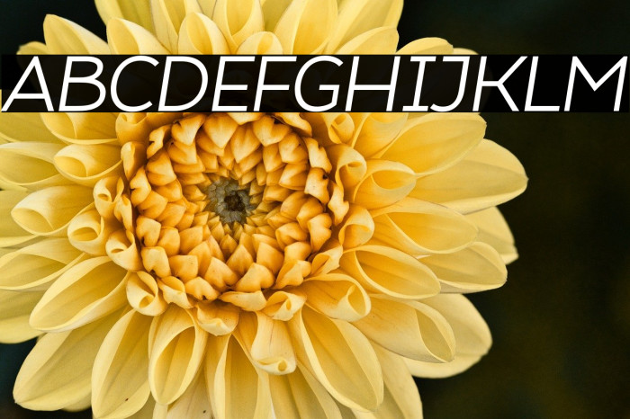 Atozimple Italic Example 2