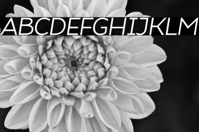 Atozimple Italic Font examples