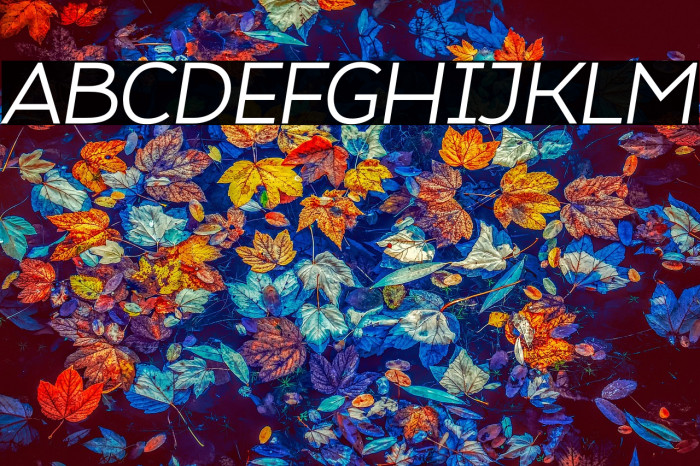 Atozimple Italic Example 3