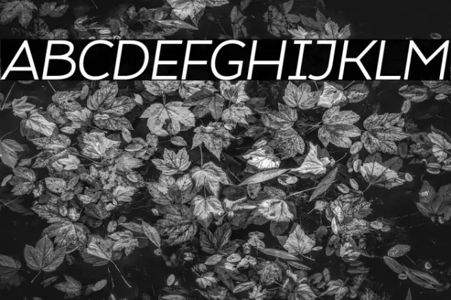 Atozimple Italic Font examples