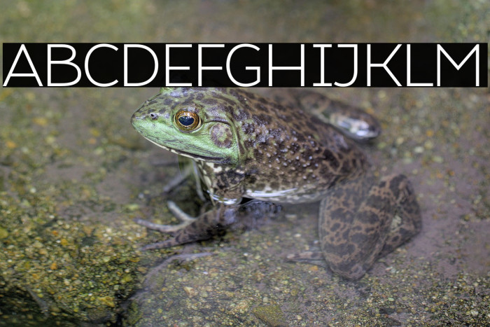 Atozimple Light Example 3