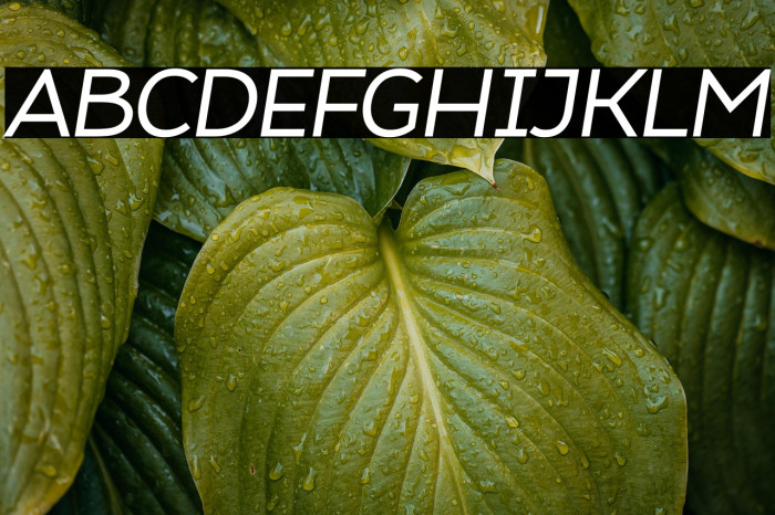 Atozimple Medium Italic Example 3