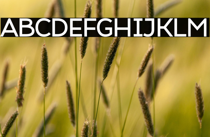 Atozimple SemiBold Example 1