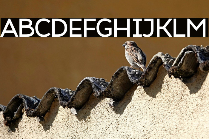 Atozimple SemiBold Example 2