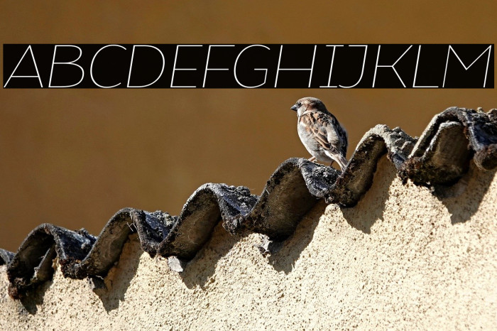 Atozimple Thin Italic Example 3