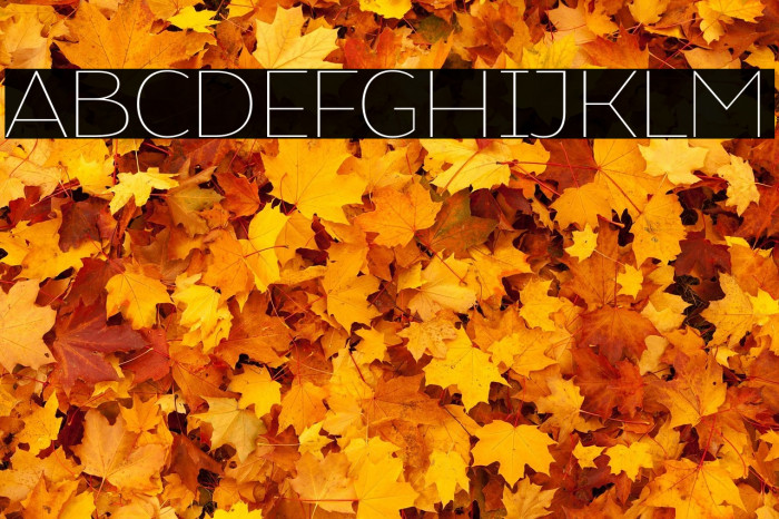 Atozimple Thin Example 2