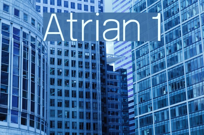 Atrian 1 Font examples