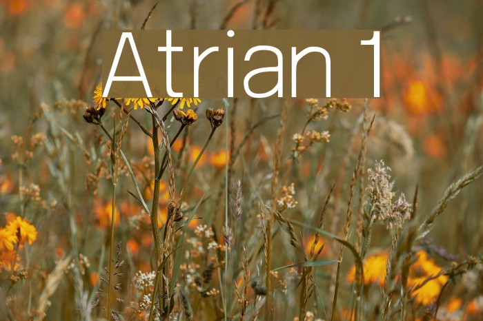 Atrian 1 Font examples