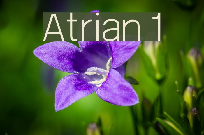 Atrian 1 Font examples