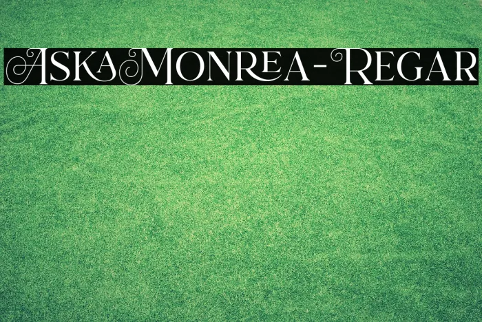 AtsukaMontreal-Regular Example 1
