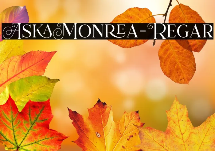 AtsukaMontreal-Regular Example 3
