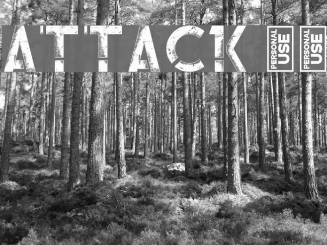 Attack 13 Font examples