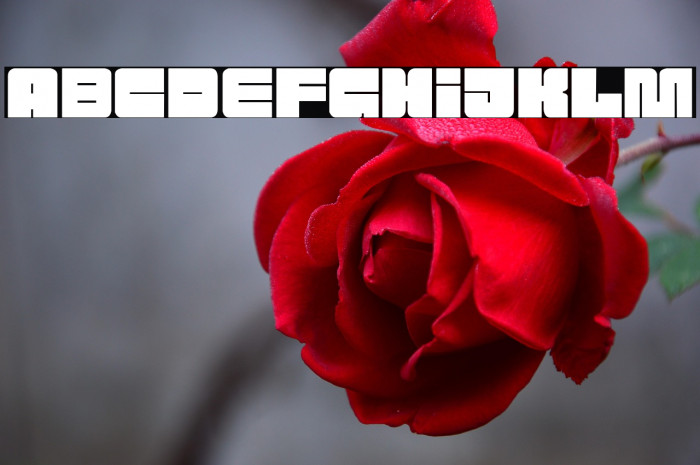 Attack the Block Example 3