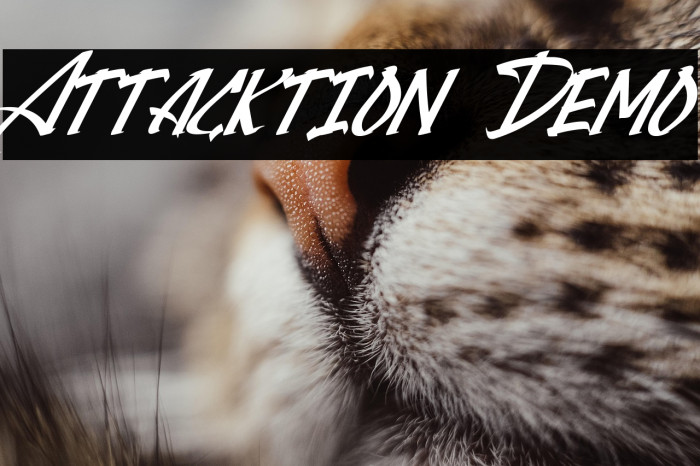 Attacktion Demo Example 1