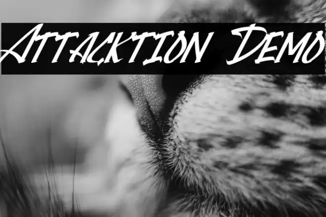 Attacktion Demo Example 1