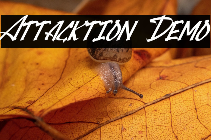 Attacktion Demo Example 2