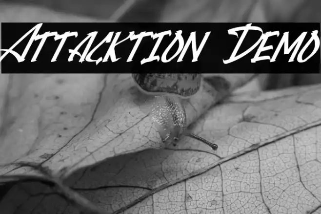 Attacktion Demo Example 2