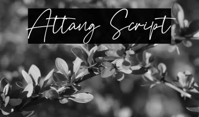 Attang Script Font examples