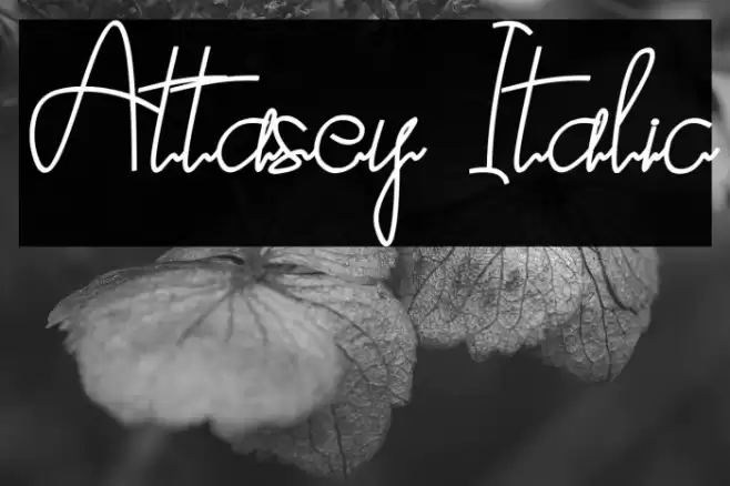 Attasey Italic Font examples