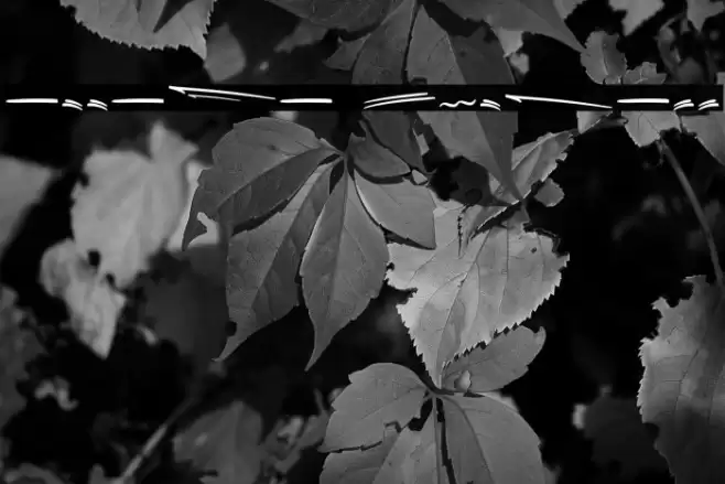 Attaya Extrass Font examples