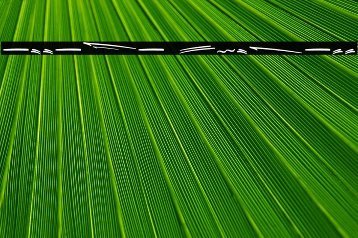 Attaya Extrass Example 2