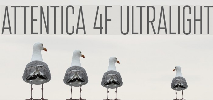 Attentica 4F UltraLight Fonte examples