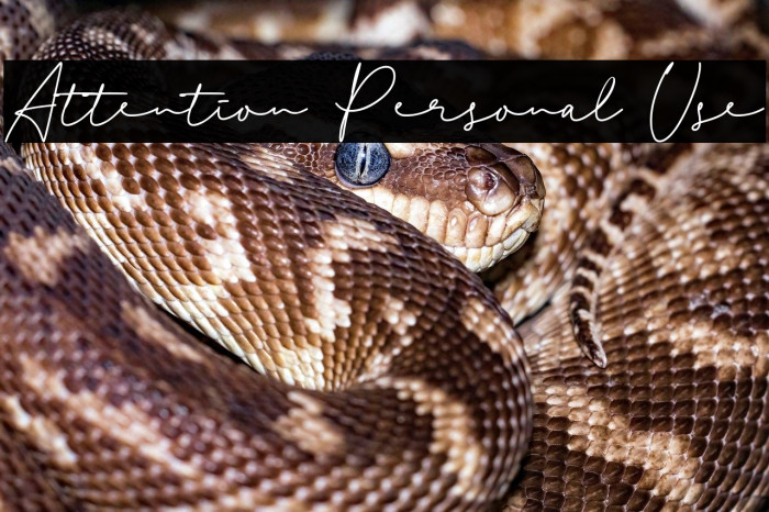 Attention Personal Use Example 3