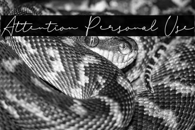 Attention Personal Use Example 3