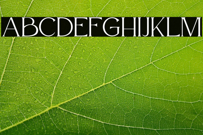 Atteron Personal Use Example 1