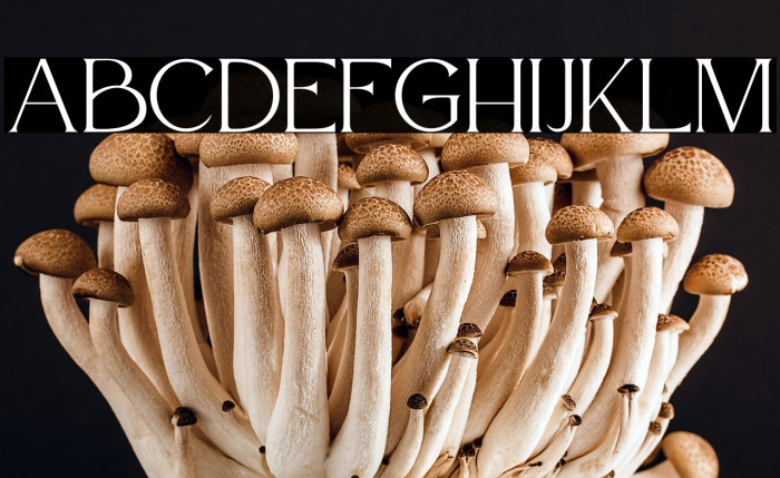 Atteron Personal Use Example 2