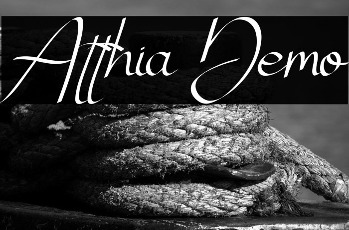 Atthia Demo Example 2