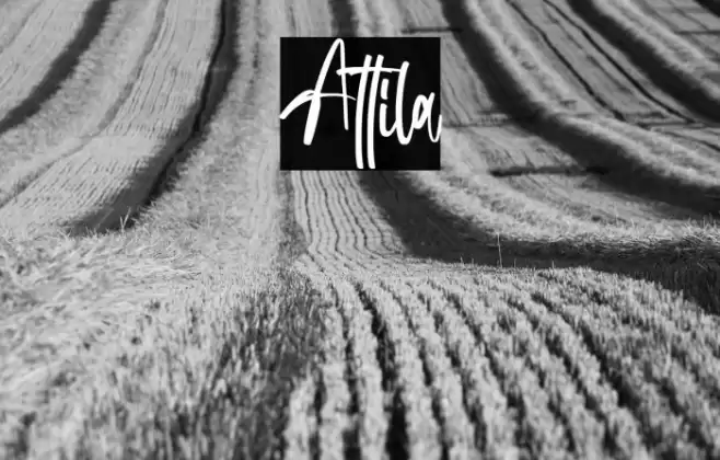 Attila Font examples