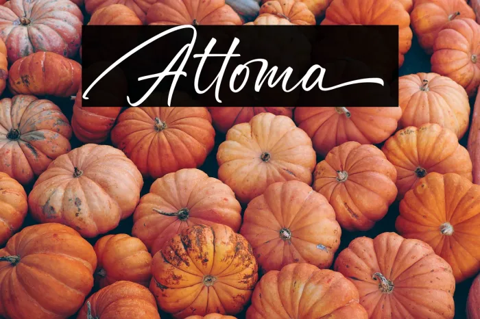Attoma Example 1