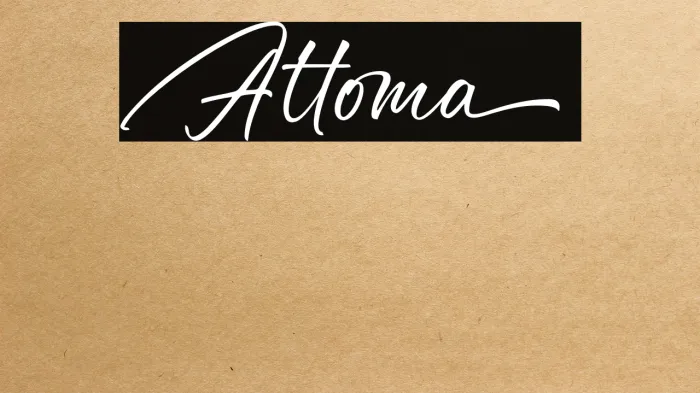 Attoma Example 2