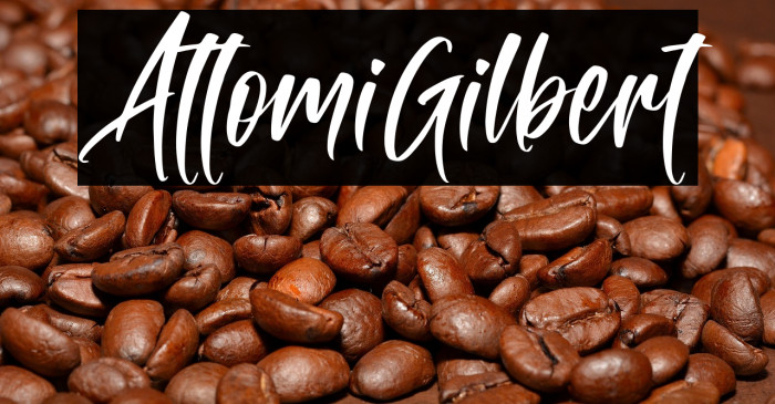 AttomiGilbert Example 1