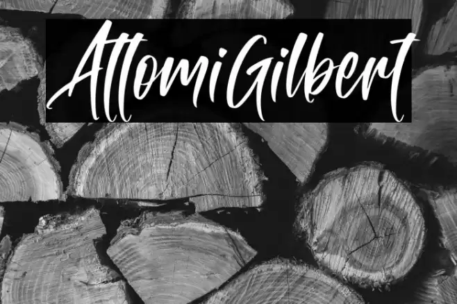 AttomiGilbert Font examples