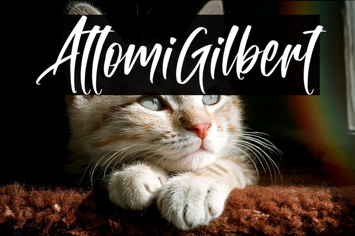 AttomiGilbert Example 3